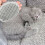 De Toilettage Massage Portable Pour Animaux ( ) 5