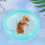 Exercício Silenciosa Para Hamster E Animais Pequenos 7