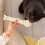 2 Pièces Alimentation Chat Ouvre-Boîtes Spatule 4