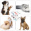 5 Unidades Gafas Para Perros Protección Atractiva 7
