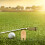 15 Pièces Outils De Réparation De Divots Pour Golf Portable 10