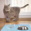 Hond Voedermat Siliconen Waterdicht En Antislip Design 11