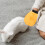 2 Unidades Guantes Para Hámster Y Pequeños 9