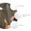 Shower Head Holder Abs 1set 3.5x2.4x2.8in 7