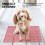 De Cage Pour Animal Filet Fond Pied 8