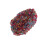 1 Metro De Com Strass E Concha Largura 2 Cm 8
