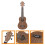 Ukelele Voor Beginner 21 Inch Hawaïaanse Kinderukelele 8