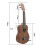 Ukelele Voor Beginner 21 Inch Hawaïaanse Kinderukelele 2