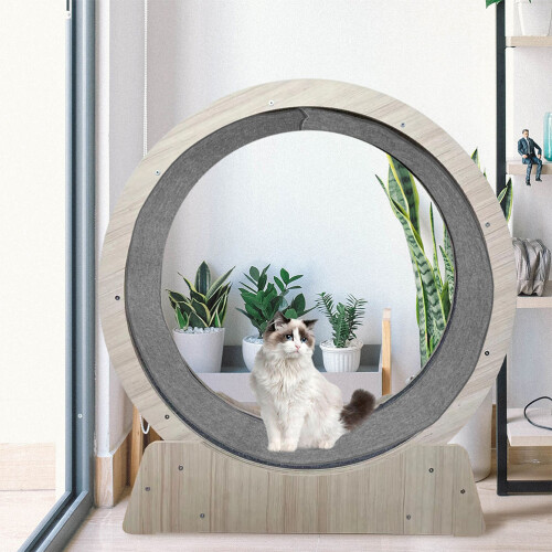 Katloopband Antislip Vervangingspad Kattenfitnes 2