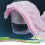 5 Piezas Interior Desechable Mujer M 5