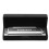 Harmonica 10 Trous 20 Tons Pour Débutant Instrument De 10