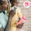 5 Silicone Afdichtschijven Babyflessen Roze 11