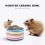 2Pcs Assorted Color Ceramic Pet Bowls Thickened Hamster Feeding Bowls 9