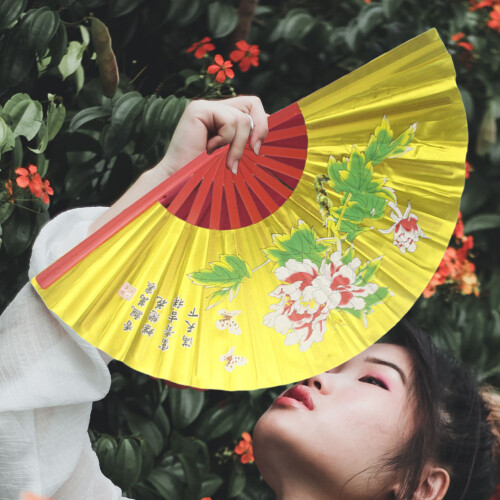 Chinese Waaier Vouwwaaier Handwaaier Draagbaar Danswaaier 2