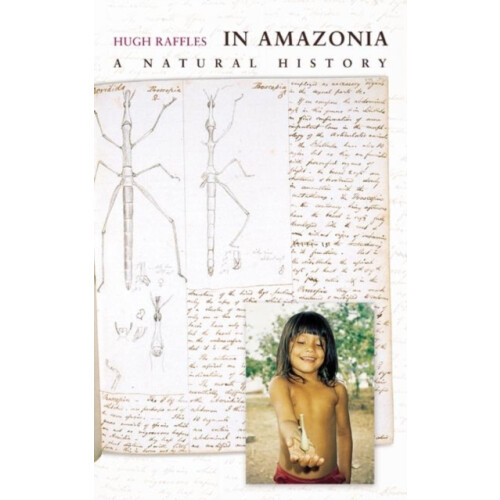 In Amazonia by Hugh Raffles Paperback Book