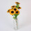 10 Sacchetti Da Te in Tessuto Non Tessuto con Girasoli 10