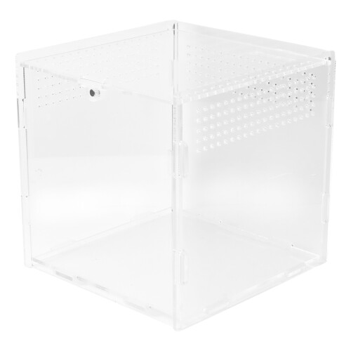 Acrylic Reptile Box Container Allevamento Trasparente 2