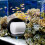 Aquarium Filterkatoen Vissenkom Filtermedia Pad 4