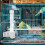 Set Distributore D'Acqua Appeso Per Uccelli ( ) 10