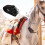 4 Unidades Correa De Pata Para De Caballo Ajustable Elástica 11