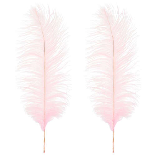 2 Pezzi Piume Decorative Per Matrimonio E Festa
