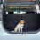 Black Foldable Pet Pad For Car Trunk Floor Protection 10