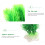 2 Simulata Per Decorazione 11