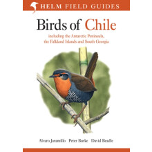 Birds of Chile by Alvaro Jaramillo Paperback Book