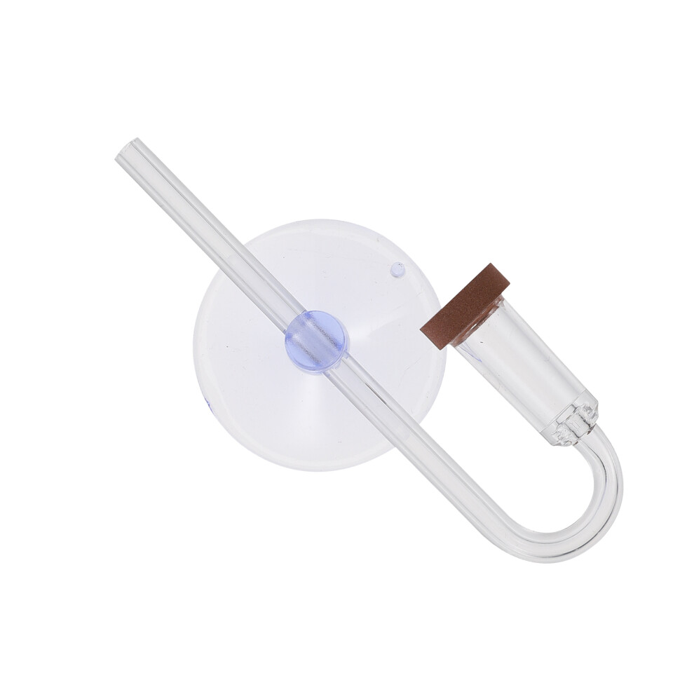 Set Diffusore Co2 Per Piante Acquatiche Diffusione