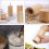 Led Projection Alarm Clock Vibration Function Multi-Function Digital Clock For Bedroom Display Battery Powered For Dorm Rooms 9