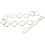 Body Chain Leopardato 6