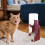 Cat Water Bowl Distributore Per Conigli Cane Accessorio 7