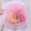 Housse Alimentaire En Anti-Mouches (Rose) 10