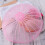Housse Alimentaire En Anti-Mouches (Rose) 3