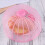 Housse Alimentaire En Anti-Mouches (Rose) 6