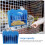 Rabbit Hay Feeder Dispenser Per Criceti D'India E Conigli 8
