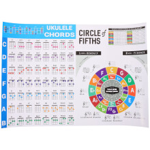Pôster De Para Ukulele Iniciantes Papel Musical