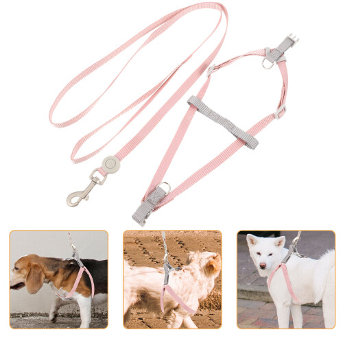 De Coleira E Trela Ajustável Para Cachorro