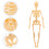 De Anatômico Do Corpo Figura Didática 10