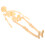 De Anatômico Do Corpo Figura Didática 4