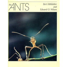 The Ants by Edward O. Wilson Hardcover Book