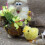 100 Becco D'Anatra In Per E Animali Peluche 5