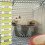 Bendable Hamster Bridge Wooden Set 5