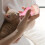 Garrafa De Amamentação Para Pets Com Substituíveis 10