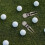 1 Ferramenta Bola Para Golf 3