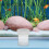 Acrílico Para Guppys Camarões 7