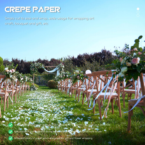6 Crepom Decorativo Para Festa 2