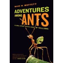 Adventures among Ants by Mark W. Moffett Paperback Book