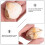 Material Didático Científico De Amêijoa Paleooceânica Concha Natural 8