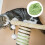 10 M De Sisal Para Mascotas, Herramienta Para 6
